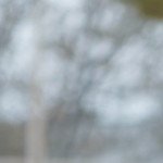 Khola Farooq Profile Picture